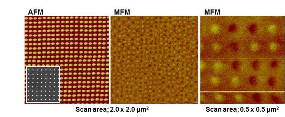 Co/Pd로 이루어진 자성 양자점의 AFM, MFM 측정 결과