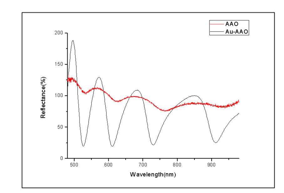 AAO template과 Au-AAO template의 반사율 비교 그래프
