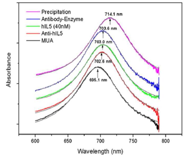 나노플라즈모닉 센서표면에 hIL5 항체 고정후(적색), hIL5가 결합되었을때의 파장변화(녹색), 검출항체 고정화(청색), 마지막으로 효소침전 반응후(분홍색)의 플라즈몬 스펙트럼변화