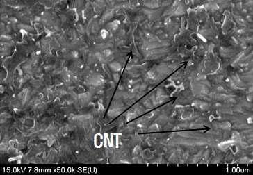 제조된 탄소나노튜브/Ni 나노복합재료의 미세조직 이미지