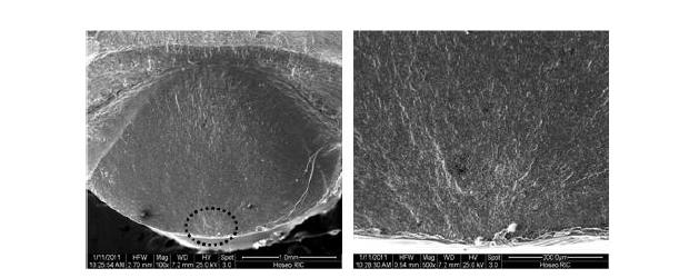 SEM micrographs showing the overall view of the fatigue fracture surface of Ti-6Al-4V and high magnification : 613.1 MPa, 2.7×106 cycles