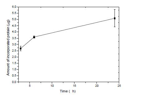 침적시간에 따른 incorporated 농도(DPBSF 1ml of2.0μg/ml)