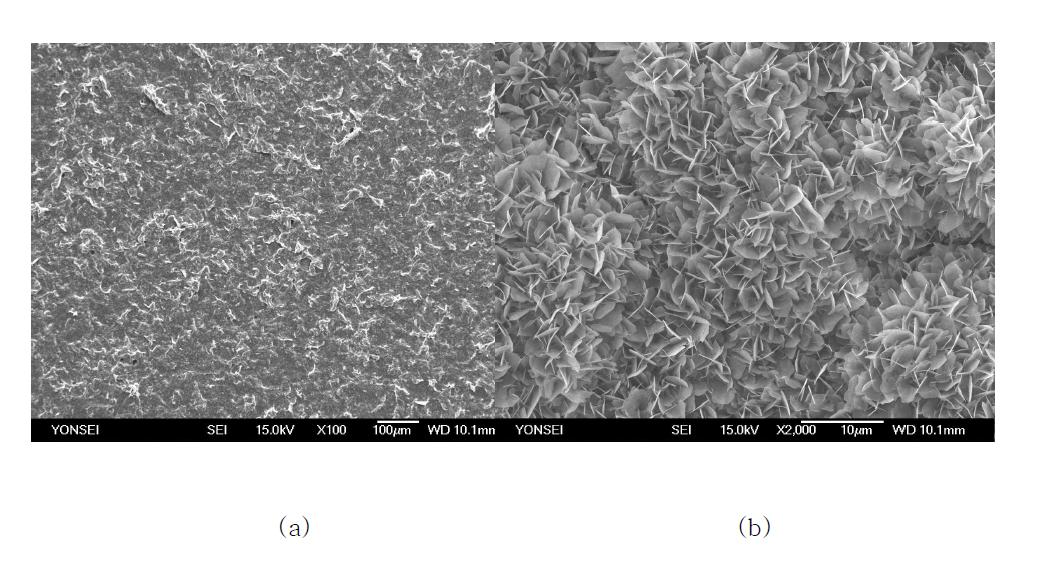 SEM micrographs of (a) as-coated and (b) 3 dayimmersion in DPBS