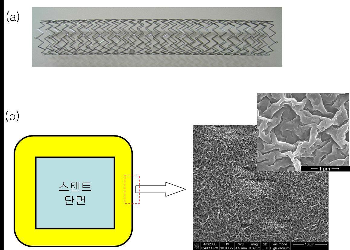 스텐트의 광학이미지 (a) 및 단면과 표면에 형성된 나노구조의 주사 전자현미경 이미지 (b)