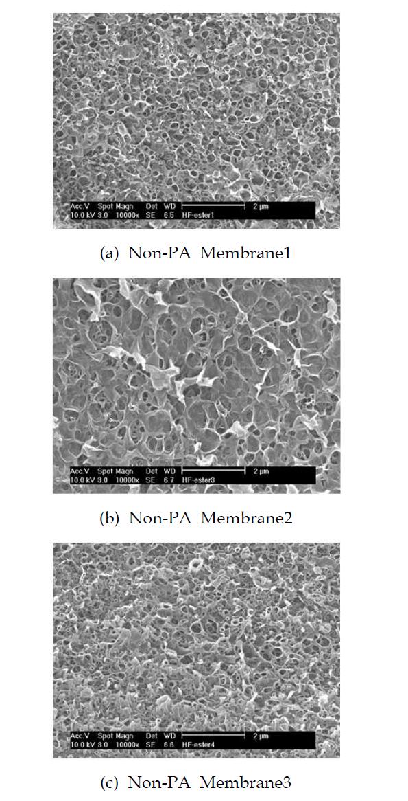 Non-polyamide 활성층을 갖는 중공사형 복합막 표면의 SEM 사진