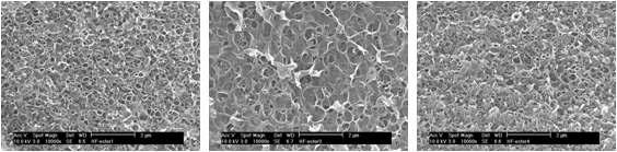Non-polyamide 활성층을 갖는 중공사형 복합막 표면의 SEM 사진