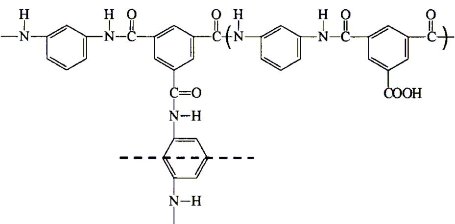 TMC와 phenylenediamine 으로 구성된 방향족 PA의 구조