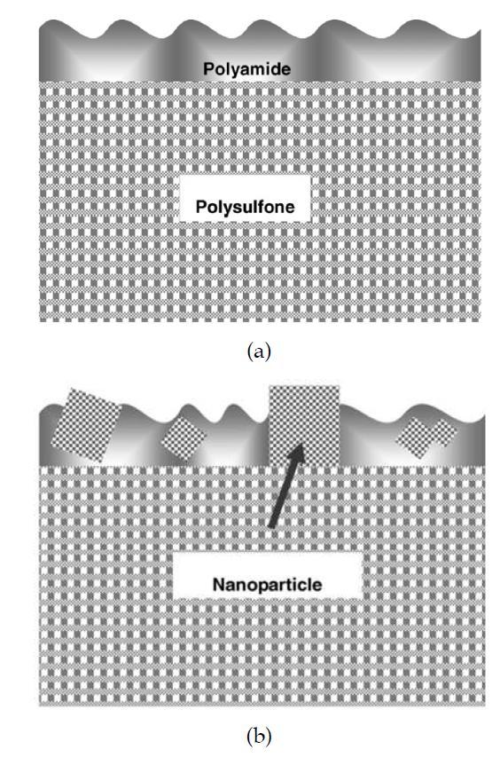 (a) 일반적인 TFC (Thin film Composite)막의 구조; (b) TFN (Thin film Nanocomposite)막의 구조