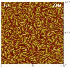 nanogroove형 나노템플레이트의 AFM 이미지