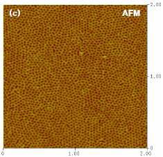nanocylinder형 나노템플레이트의 AFM 이미지