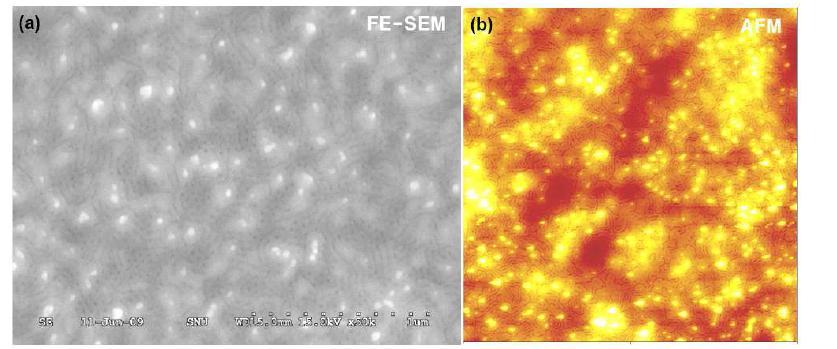 ITO 기판 위 PS(46k)-PMMA(21k) 블록 공중합체의 수직 배향 원통형나노구조를 이용한 nanocylinder형 나노템플레이트의 (a) FE-SEM 이미지와 (b) AFM 이미지.