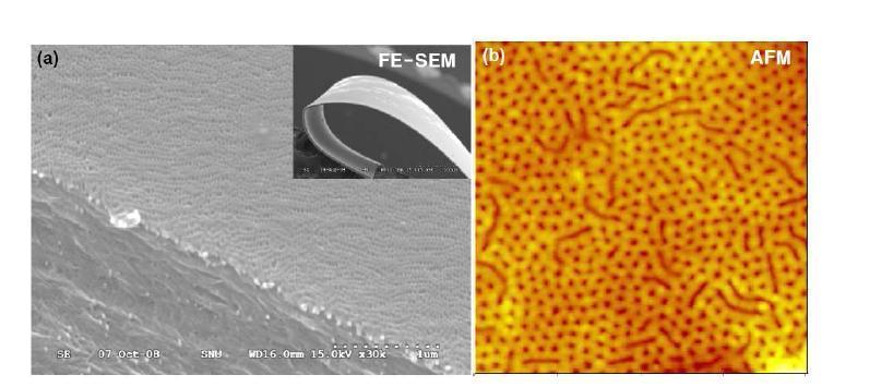 플렉시블 PI 기판 위 PS(46k)-PMMA(21k) 블록공중합체의수직 배향 원통형 나노구조를 이용한 nanocylinder형 나노템플레이트의 (a) FE-SEM 이미지와 (b) AFM 이미지.