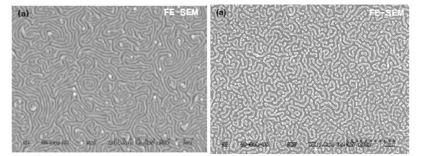 (a) nanogroove형 나노템플레이트와 sol-gel법에 의해 제조된 (b) nanogroove형 TiO2 나노전극의 FE-SEM 이미지