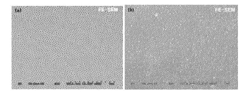 (a) nanocylinder형 나노템플레이트와 sol-gel법에 의해 제조된(b) nanocylinder형 TiO2 나노전극의 FE-SEM 이미지.