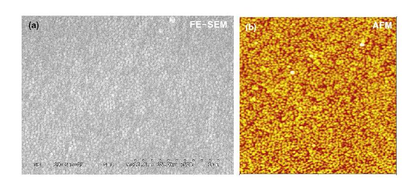 ALD에 의한 nanocylinder형 나노 템플레이트를 이용한 TiO2 나노전극의 (a) FE-SEM 이미지와 (b) AFM 이미지.