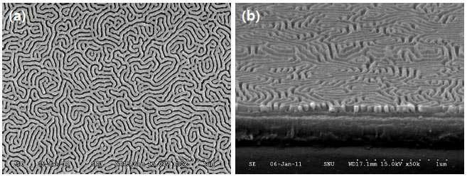 PS(80k)-PMMA(80k) 블록공중합체의 수직 배향 판상형 나노구조를 이용한 nanogroove형 나노템플레이트의 FE-SEM 이미지