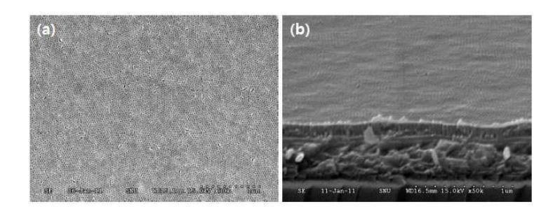 PS(46k)-PMMA(21k) 블록공중합체의 수직 배향 원통형 나노구조를 이용한 nanocylinder형 나노템플레이트의 FE-SEM 이미지