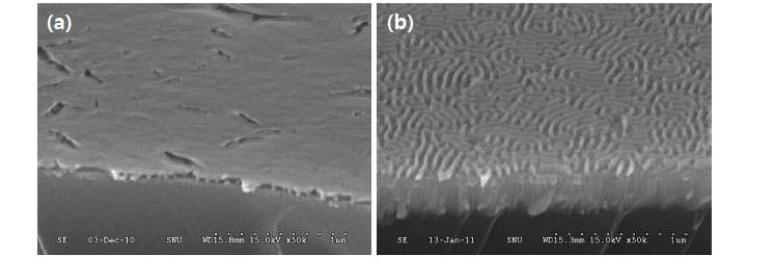 TiO2/ITO 기판에 수직 배향 nanogroove 나노템플레이트에 sol-gel 법으로 제조한 TiO2 나노전극 FE-SEM 이미지