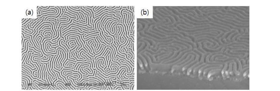 개선된 두께를 가지는 PS(80k)-PMMA(80k) 블록공중합체의 수직 배향 판상형 나노구조로부터 제조한 nanogroove형 나노템플레이트의 FE-SEM 이미지