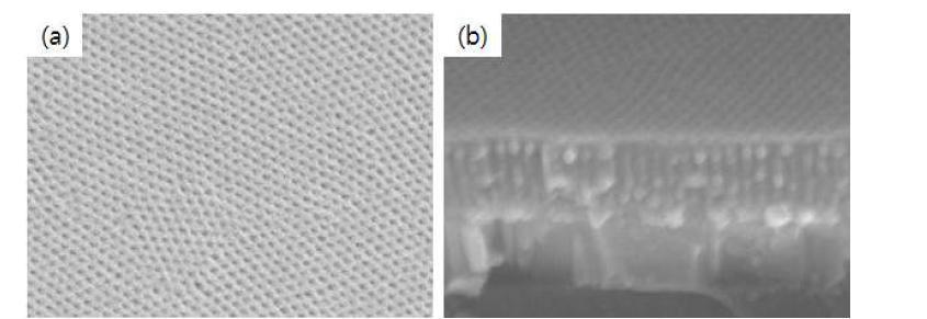 개선된 두께를 가지는 PS(46k)-PMMA(21k) 블록공중합체의 수직 배향 판상형 나노구조로부터 제조한 nanogroove형 나노템플레이트의 FE-SEM 이미지