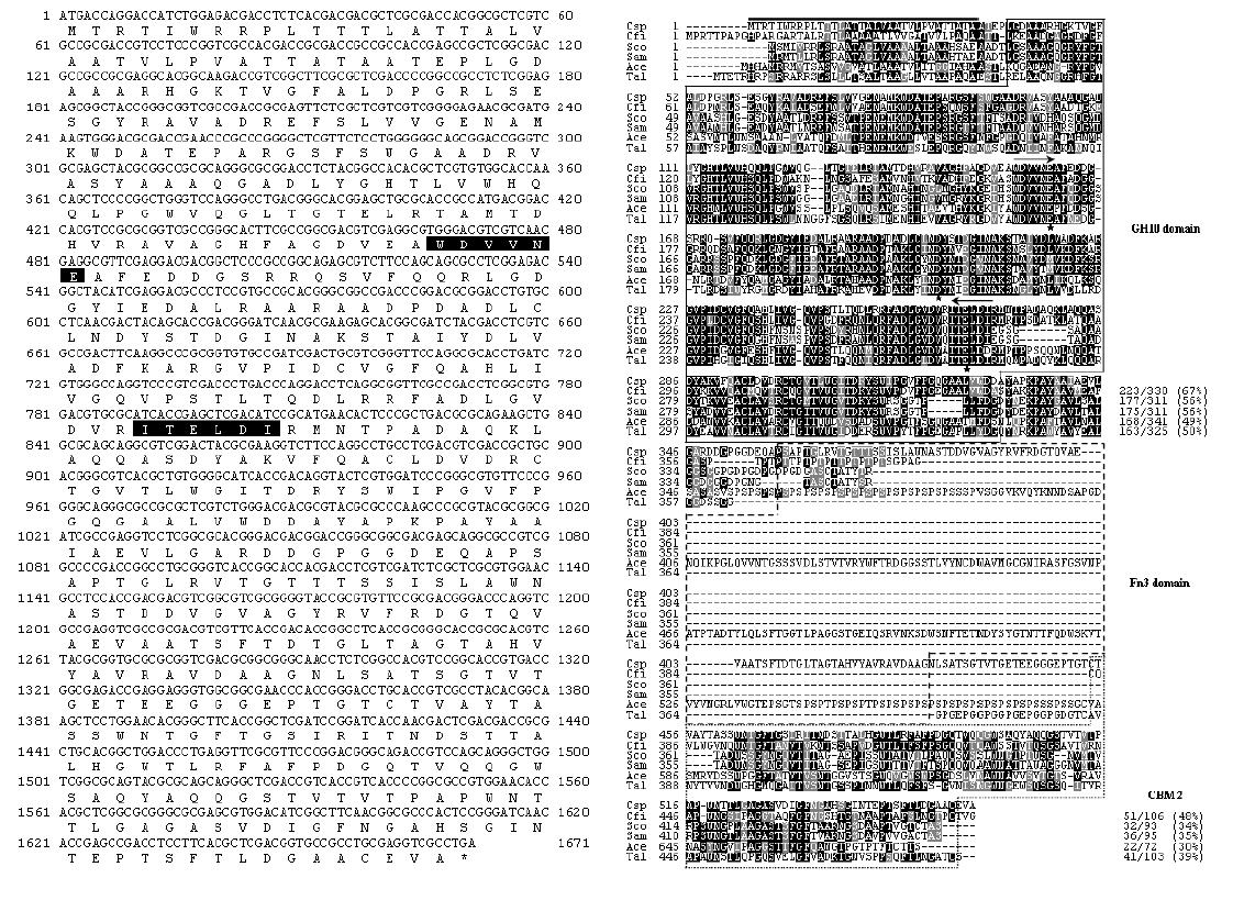 Nucleotide sequence of the gene encoding XylK1 and the alignment of the deduced amino acid sequence of XylK1 with those of other GH10 xylanases.