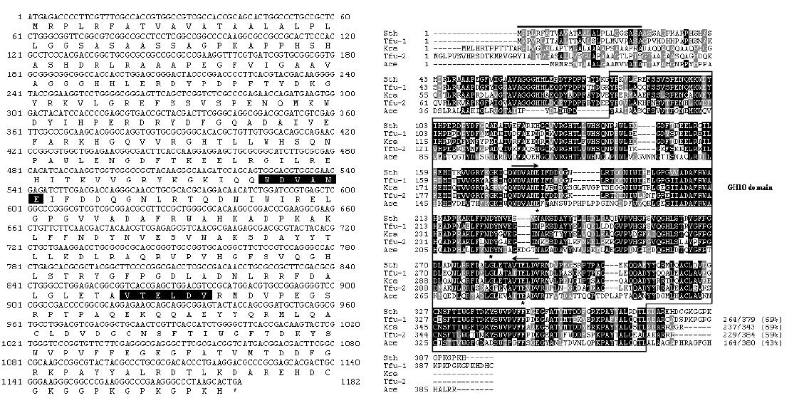 Nucleotide sequence of the gene encoding XylG and the alignment of the deduced amino acid sequence of XylG with those of other GH10 xylanases.