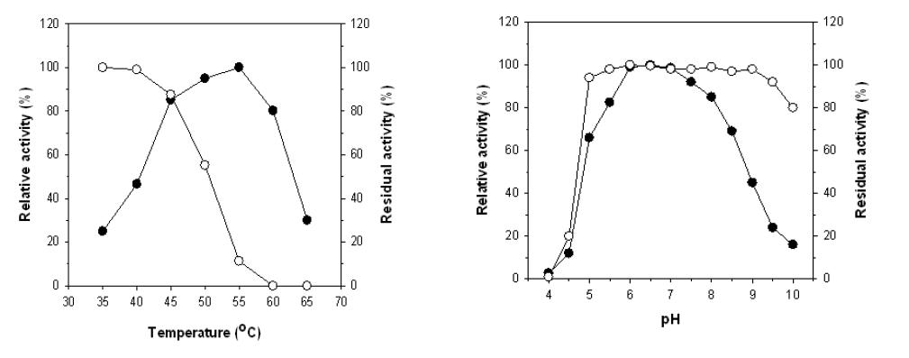 Effect of temperature (a) on the xylanase activity (●) and the stability (○) of rXylP and effect of pH on the xylanase activity (●) and the stability (○) of rXylP.