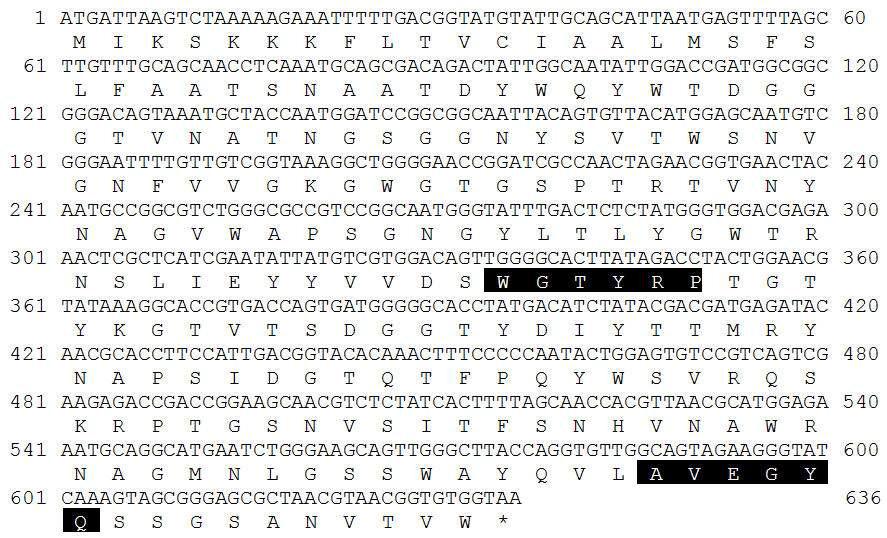 Nucleotide sequence of the gene encoding eXylC.