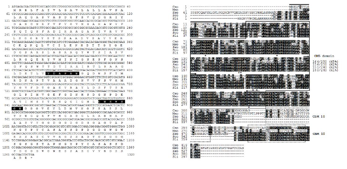 Nucleotide sequence of the gene encoding ManH and the alignment of the deduced amino acid sequence of ManH with those of other GH5 families.