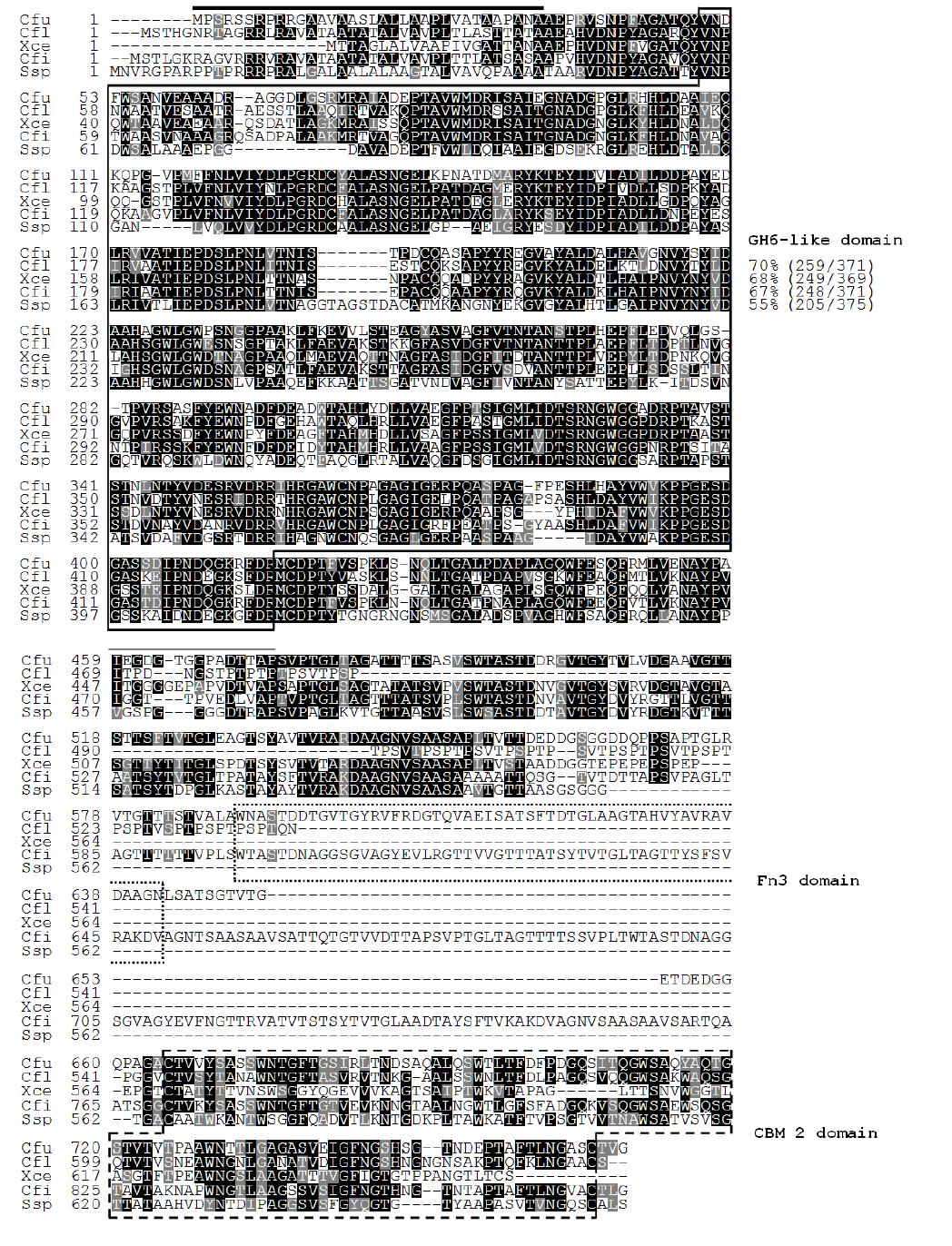 Alignment of the deduced amino acid sequence of β-1,4-xylanase from Cellulosi- microbium sp. strain HY-13 with those of other structurally related GH6 enzymes.