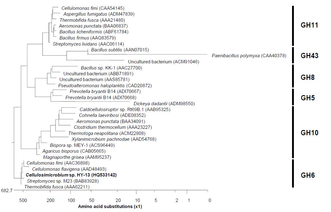 Phylogenetic tree of XylK2 from Cellulosimicrobium sp. strain HY-13 and its closely related GH enzymes.