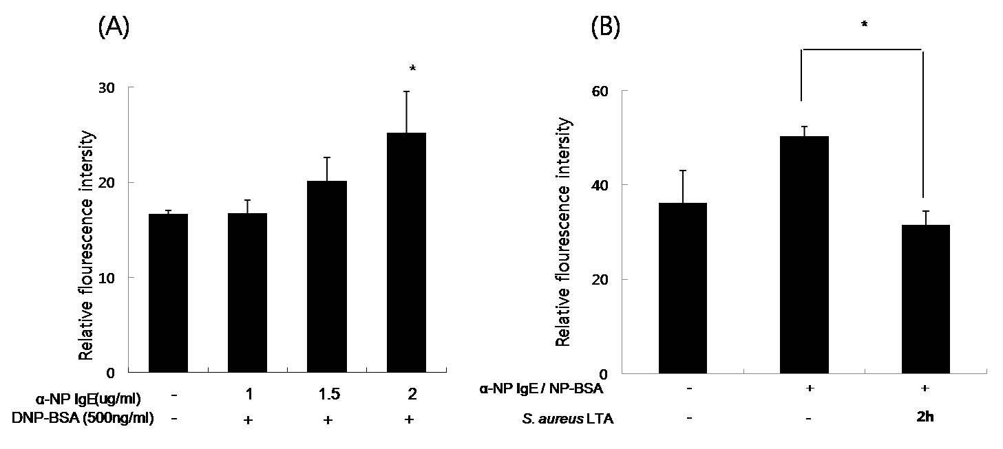 KU812세포에서 anti-NP IgE와 NP-BSA에 의해 유도된 히스타민 분비에대한 LTA의 영향