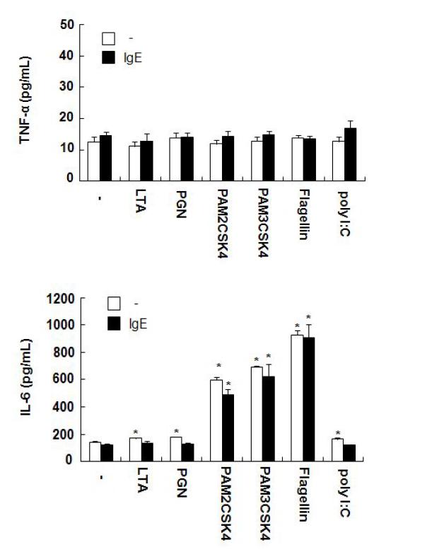 KU812세포에 다양한 PAMP 자극에 의한 IL-6 및 TNF-α의 분비 양상