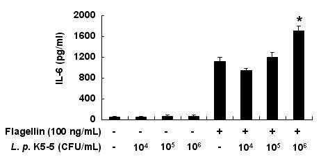 인체 비만세포주 KU812의 활성화에 미치는 열사멸 유산균주(L. plantarum K5-5)의 영향