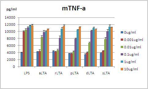 RAW 264.7 세포에서 다양한 LTA 농도에 의한 mouse TNF-α 발현 유도