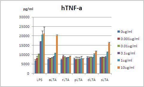 THP-1 세포에서 다양한 LTA 농도에 의한 human TNF-α 발현 유도