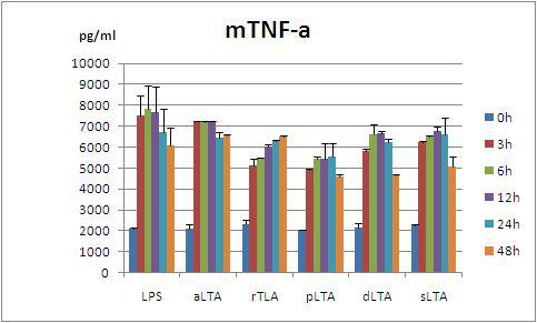 RAW 264.7 세포에서 LTA 처리 시간에 따른 mouse TNF-α 발현 유도