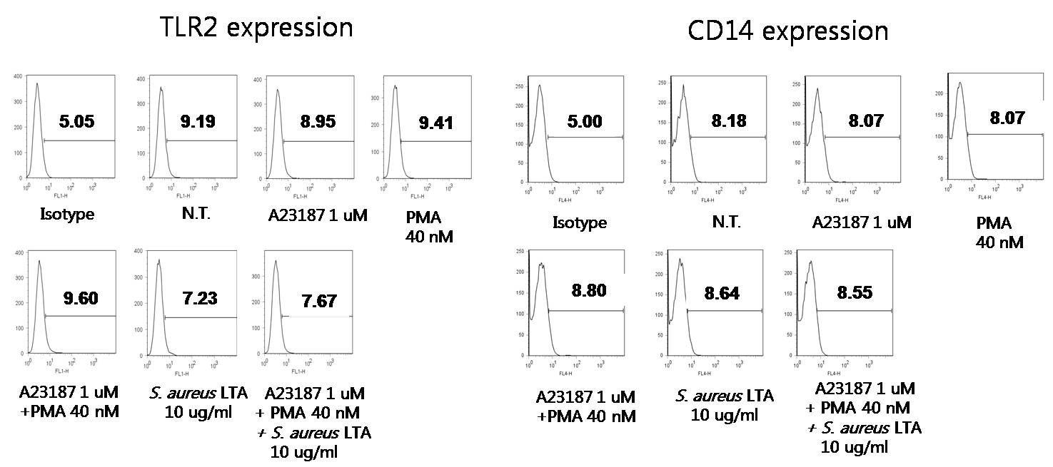 KU812세포에서 PAMP인식 수용체인 TLR2와 CD14의 발현양상 변화