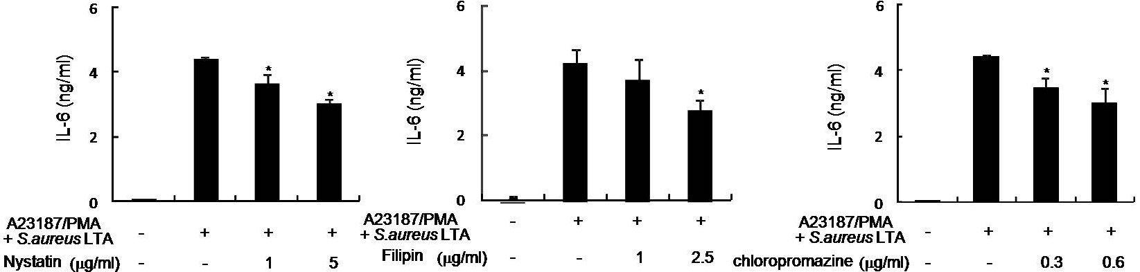 KU812세포에서 LTA와 PMA/A23187 신호전달에서의 lipid raft형성과clathrin coated pit형성의 영향 평가