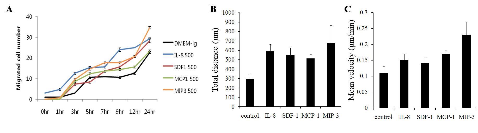 (A) Wound healing assay 와 실시간 세포추적기법을 이용한 (B) 세포이동거리 및 (C) 이동속도비교