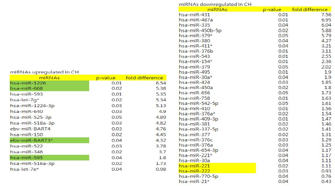 분화 기간 중 의미있게 증가 (위), 감소 (아래)한 microRNA