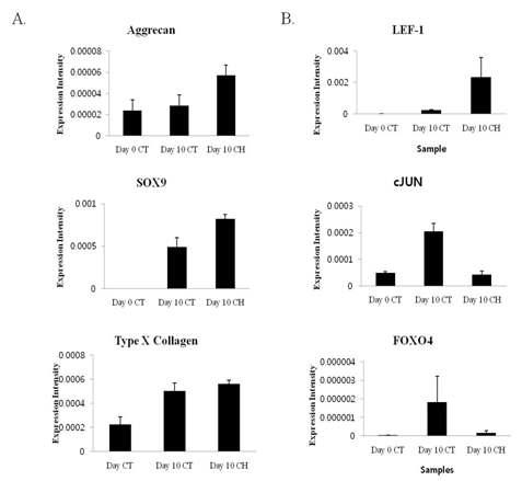 A. 연골분화의 key marker gene들의 발현 양상과 B. microarray에서 의미있는 발현패턴을 보인 유전자들의 quantitative realtime 발현패턴.