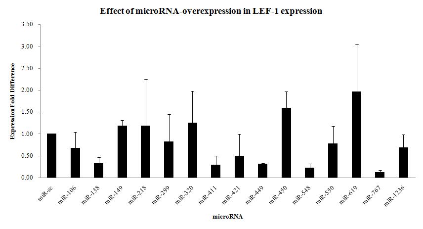 각각의 선별된 microRNA들을 Hela cellline에 transfection 되었을시 LEF-1의 발현에 미치는 영향을 quantitative realtime PCR을 통해 정량하였음.