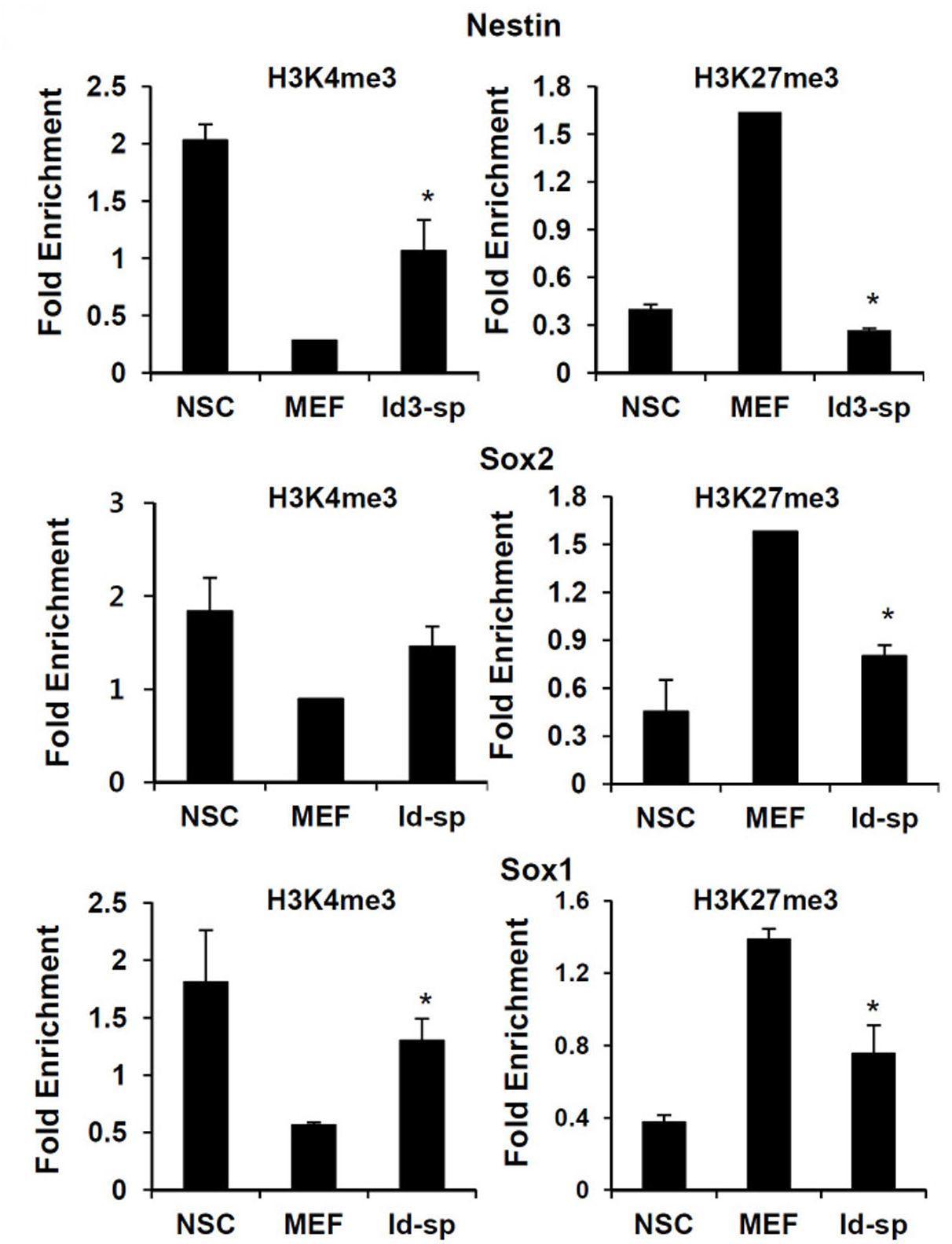 Chip assay를 통해 유도된 신경구세포에서의 Nestin, Sox1, Sox2 promoter의 H3 lysine4, 27부분의 methylation pattern이 신경줄기세포와 유사함을 증명함