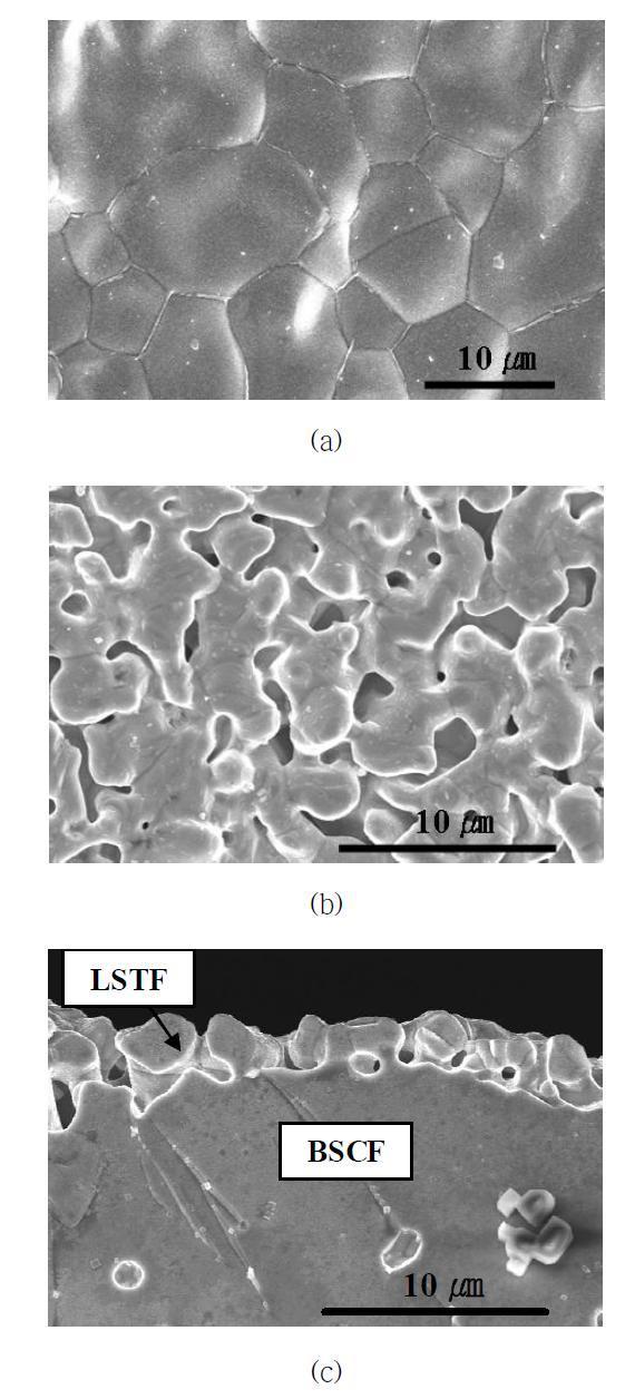 BSCF 및 다공성의 LSTF가 코팅된 BSCF 관형 분리막의 SEM 분석결과