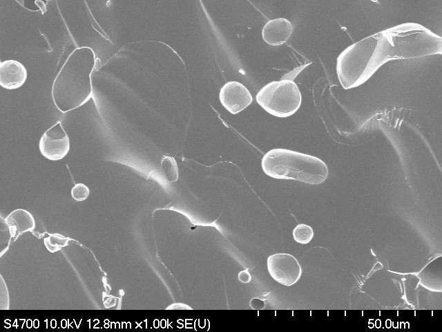 BCFN 분리막의 단면 SEM 분석결과