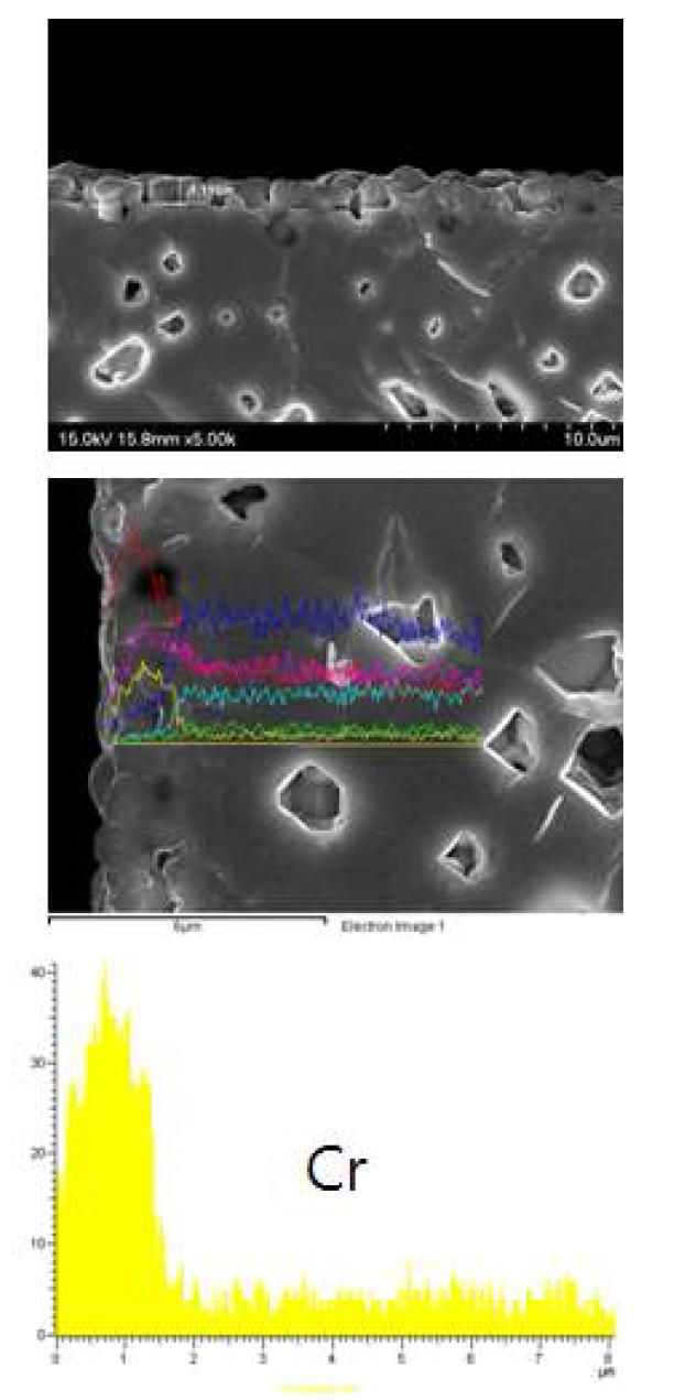 BaCrOx가 코팅된 BSCF 분리막의 SEM 분석결과