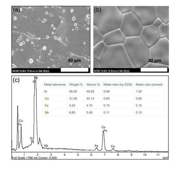 Sr(Co0.8Fe0.1Nb0.1)O3-δ분리막의 SEM(EDX) 분석결과