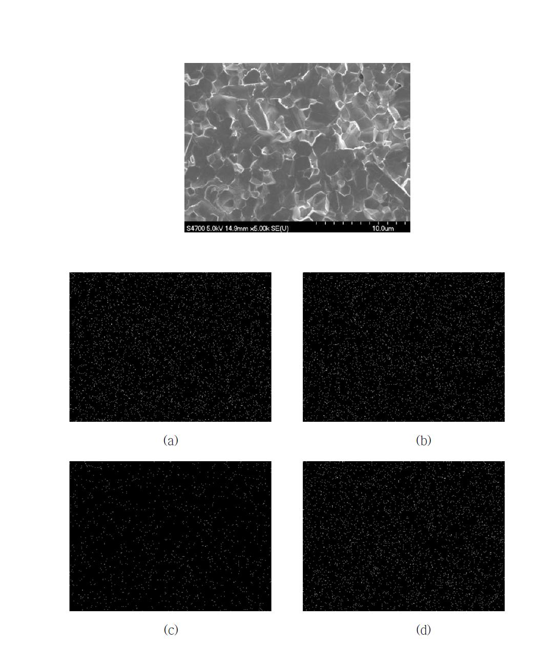 PrBa0.9Sr0.1Co2O5+δ 분리막의 SEM(mapping) 분석결과: (a) Pr, (b) Ba, (c) Sr, (d) Co