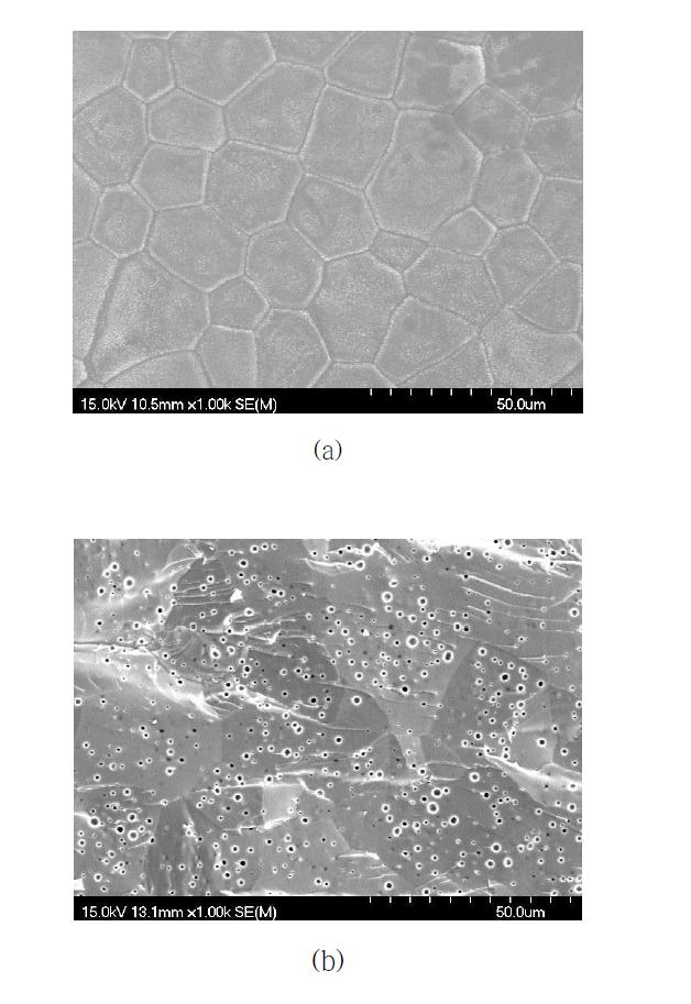 1100 ℃에서 2 h 소결된 BSCF 분리막의 SEM 분석결과: (a) 표면, (b)단면